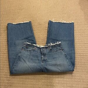 Frame Le Low Baggy Wide Leg Jean